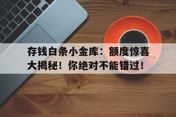 存钱白条小金库:额度惊喜大揭秘!你绝对不能错过!