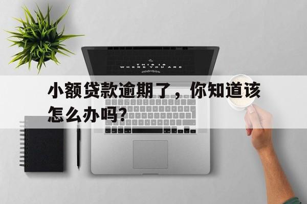 小额贷款逾期了,你知道该怎么办吗?