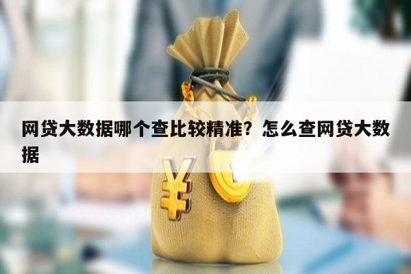 网贷大数据哪个查比较精准？怎么查网贷大数据