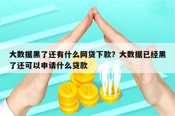 大数据黑了还有什么网贷下款?大数据已经黑了还可以申请什么贷款
