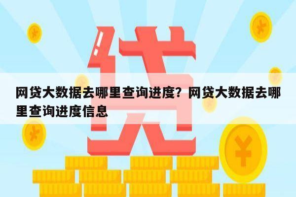 网贷大数据去哪里查询进度?网贷大数据去哪里查询进度信息