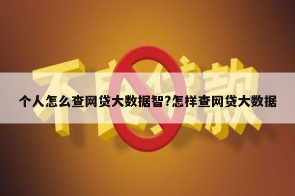 个人怎么查网贷大数据智?怎样查网贷大数据