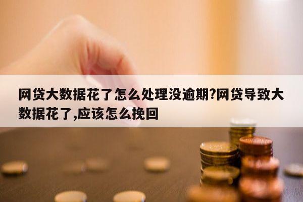 网贷大数据花了怎么处理没逾期?网贷导致大数据花了,应该怎么挽回