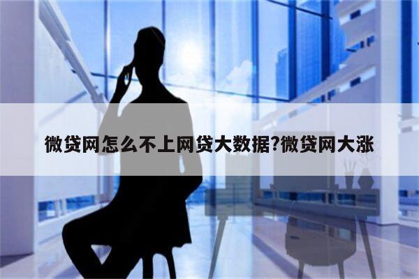 微贷网怎么不上网贷大数据?微贷网大涨