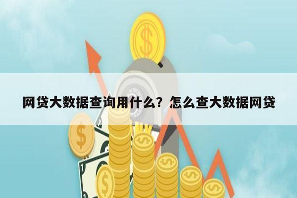 网贷大数据查询用什么?怎么查大数据网贷