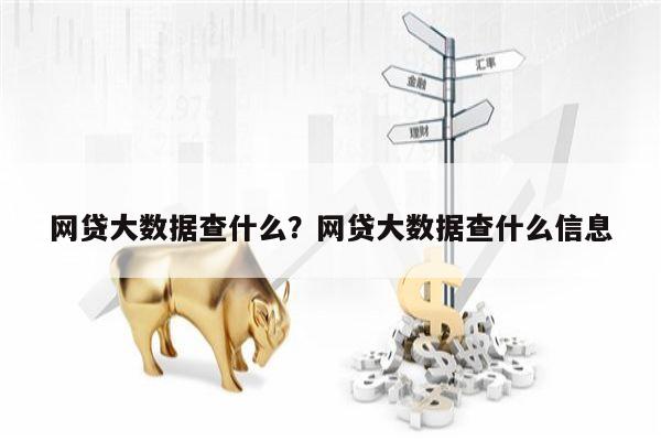 网贷大数据查什么?网贷大数据查什么信息