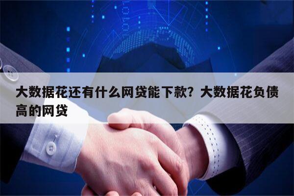 大数据花还有什么网贷能下款?大数据花负债高的网贷