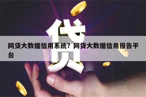 网贷大数据信用系统?网贷大数据信用报告平台