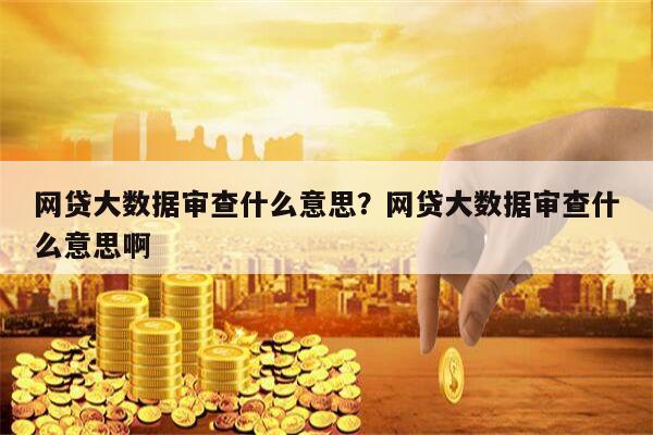 网贷大数据审查什么意思?网贷大数据审查什么意思啊