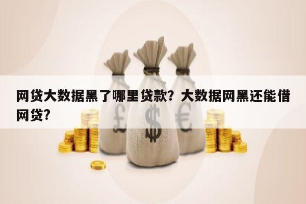 网贷大数据黑了哪里贷款?大数据网黑还能借网贷?