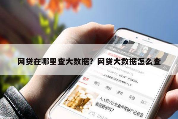 网贷在哪里查大数据?网贷大数据怎么查