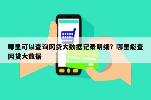 哪里可以查询网贷大数据记录明细?哪里能查网贷大数据
