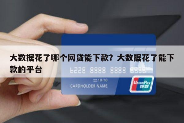 大数据花了哪个网贷能下款?大数据花了能下款的平台
