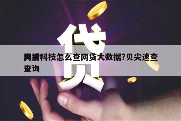 同盾科技怎么查网贷大数据?贝尖速查
风控查询