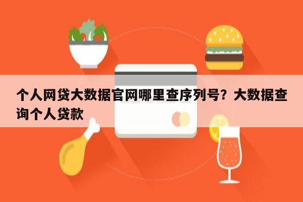 个人网贷大数据官网哪里查序列号?大数据查询个人贷款