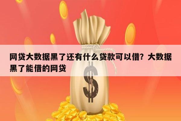 网贷大数据黑了还有什么贷款可以借?大数据黑了能借的网贷