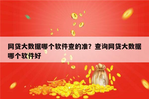 网贷大数据哪个软件查的准?查询网贷大数据哪个软件好