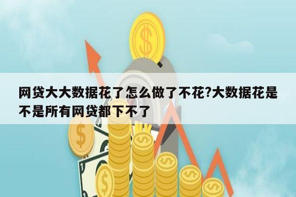 网贷大大数据花了怎么做了不花?大数据花是不是所有网贷都下不了