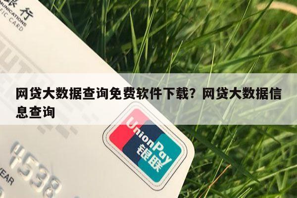 网贷大数据查询免费软件下载?网贷大数据信息查询