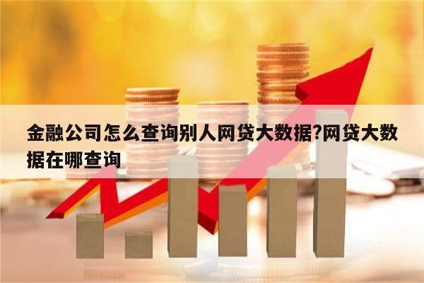 金融公司怎么查询别人网贷大数据?网贷大数据在哪查询