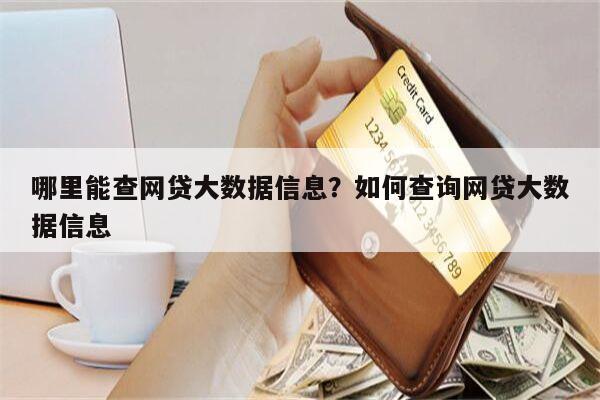 哪里能查网贷大数据信息?如何查询网贷大数据信息