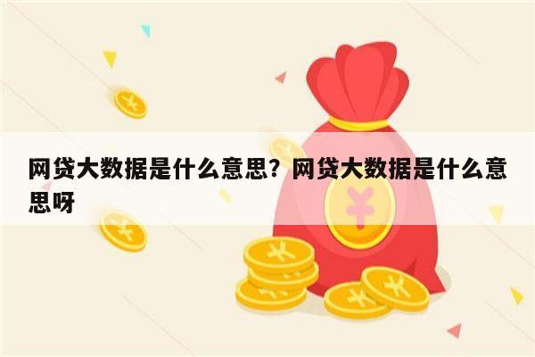 网贷大数据是什么意思?网贷大数据是什么意思呀