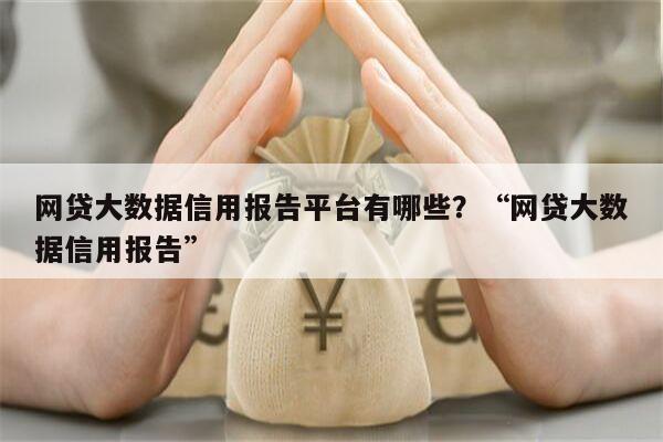 网贷大数据信用报告平台有哪些?“网贷大数据信用报告”