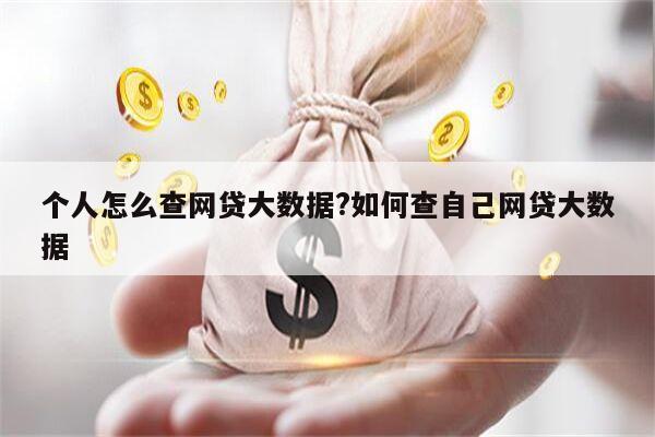 个人怎么查网贷大数据?如何查自己网贷大数据