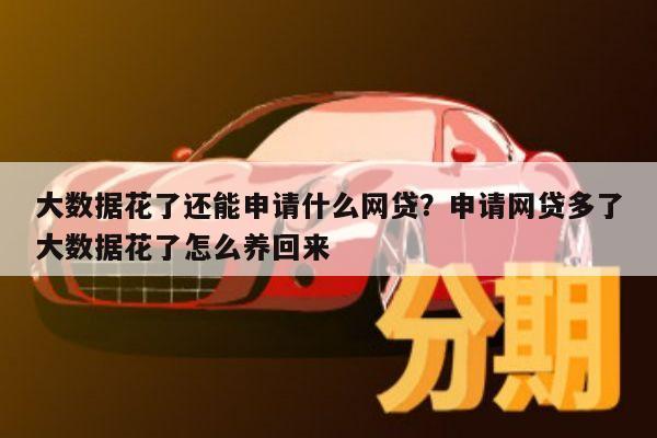 大数据花了还能申请什么网贷?申请网贷多了大数据花了怎么养回来