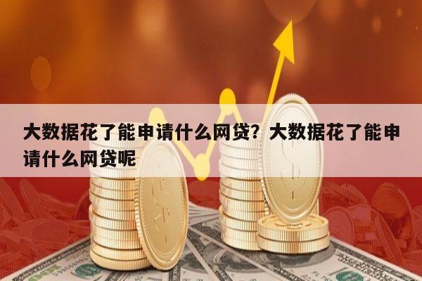 大数据花了能申请什么网贷?大数据花了能申请什么网贷呢