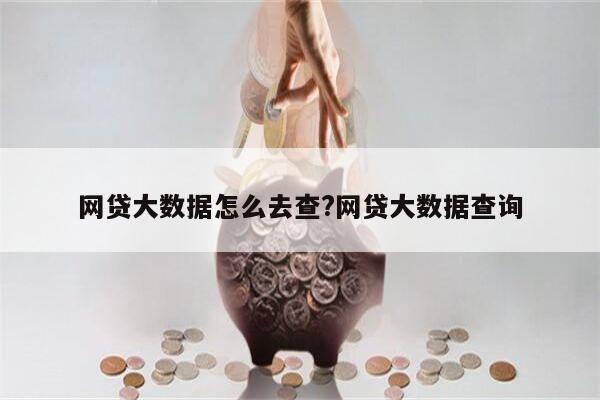 网贷大数据怎么去查?网贷大数据查询