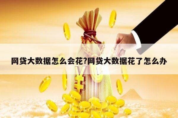 网贷大数据怎么会花?网贷大数据花了怎么办