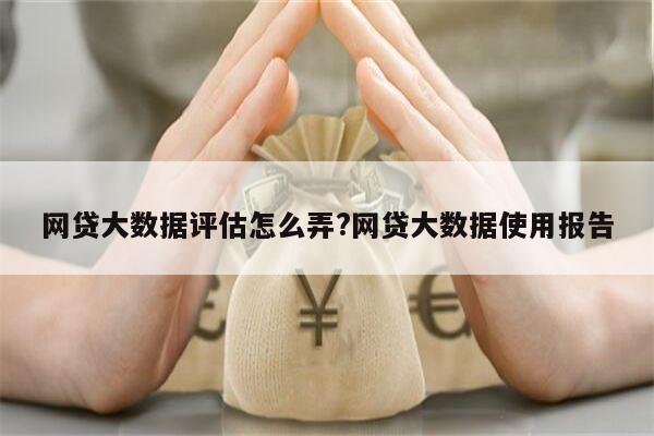 网贷大数据评估怎么弄?网贷大数据使用报告