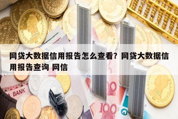 网贷大数据信用报告怎么查看?网贷大数据信用报告查询 网信