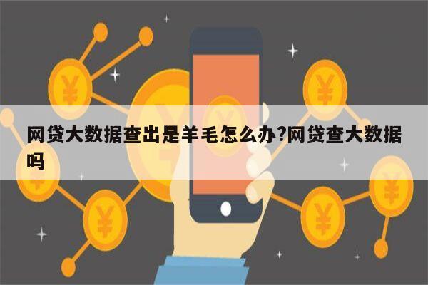 网贷大数据查出是羊毛怎么办?网贷查大数据吗