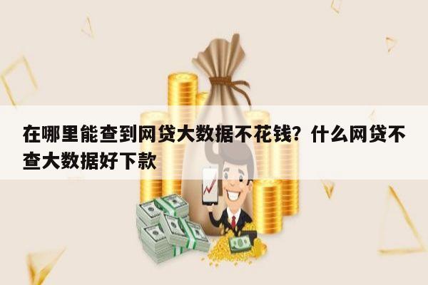 在哪里能查到网贷大数据不花钱?什么网贷不查大数据好下款