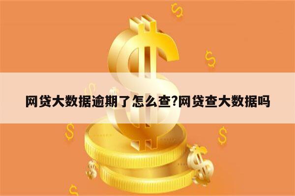 网贷大数据逾期了怎么查?网贷查大数据吗