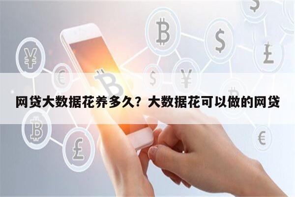 网贷大数据花养多久?大数据花可以做的网贷