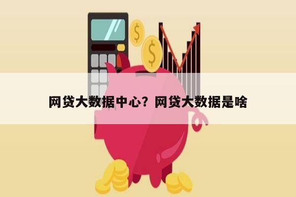 网贷大数据中心?网贷大数据是啥