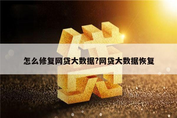 怎么修复网贷大数据?网贷大数据恢复
