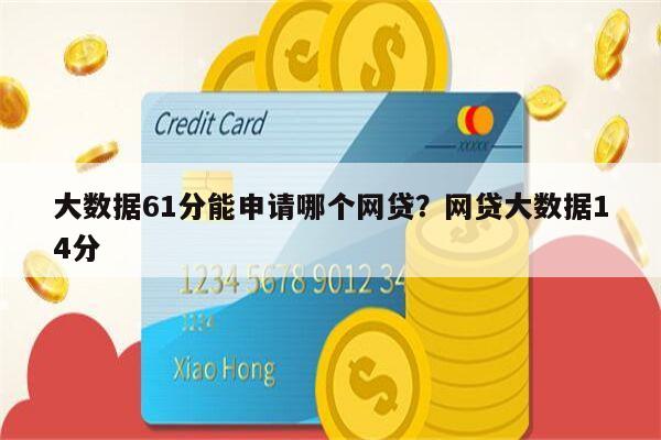 大数据61分能申请哪个网贷?网贷大数据14分