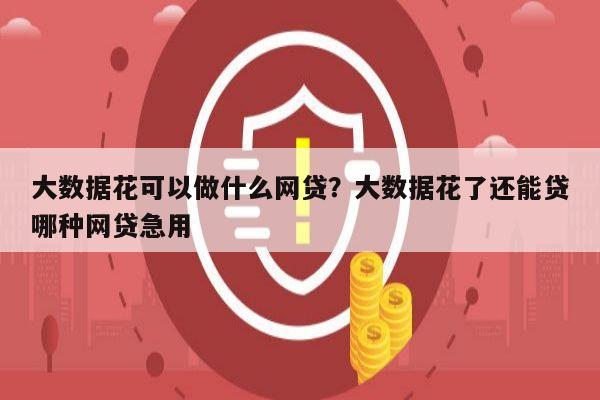大数据花可以做什么网贷?大数据花了还能贷哪种网贷急用