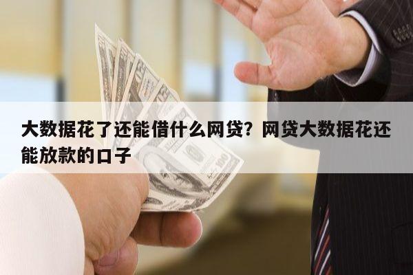 大数据花了还能借什么网贷?网贷大数据花还能放款的口子