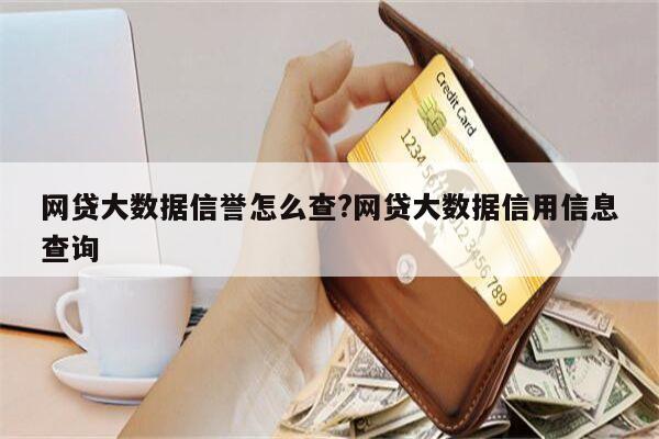 网贷大数据信誉怎么查?网贷大数据信用信息查询