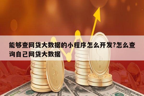 能够查网贷大数据的小程序怎么开发?怎么查询自己网贷大数据