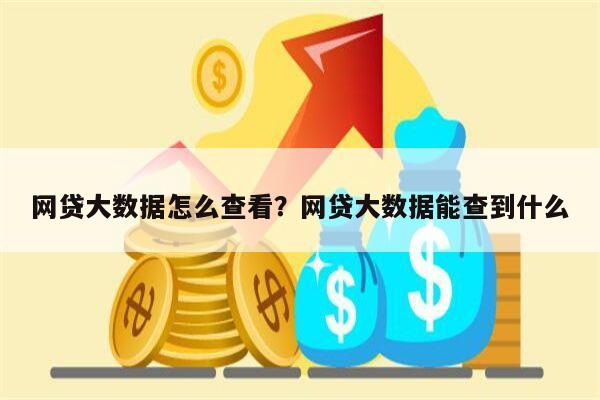 网贷大数据怎么查看?网贷大数据能查到什么