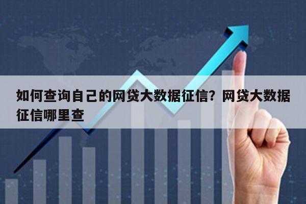 如何查询自己的网贷大数据征信?网贷大数据征信哪里查