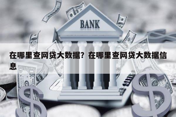 在哪里查网贷大数据？在哪里查网贷大数据信息