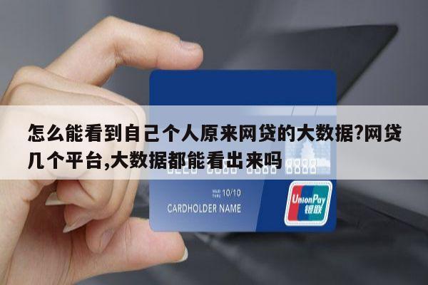 怎么能看到自己个人原来网贷的大数据?网贷几个平台,大数据都能看出来吗