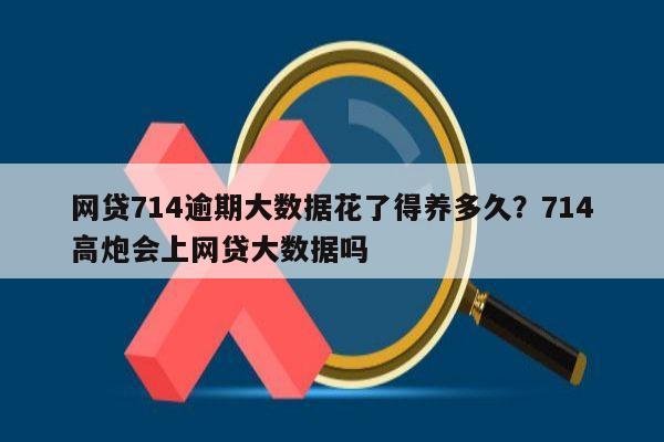 网贷714逾期大数据花了得养多久?714高炮会上网贷大数据吗